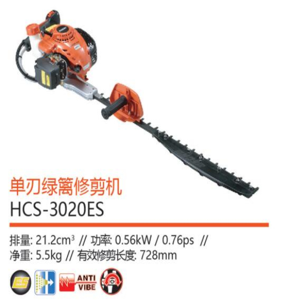 扶余专业花籽价格