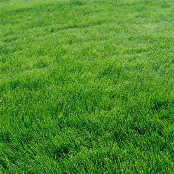 七台河专业电动剪刀批发