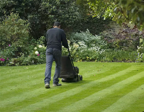 黑龙江园林养护品